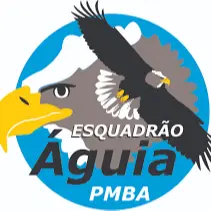 Esquadrão Águia